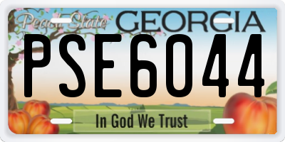 GA license plate PSE6044