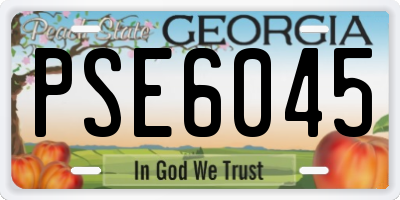 GA license plate PSE6045