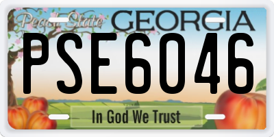 GA license plate PSE6046