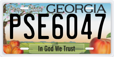 GA license plate PSE6047
