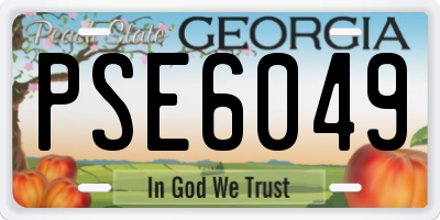 GA license plate PSE6049