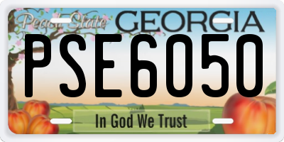 GA license plate PSE6050