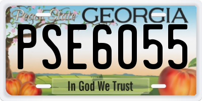 GA license plate PSE6055