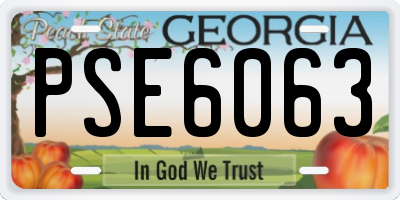 GA license plate PSE6063