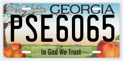 GA license plate PSE6065