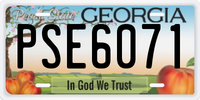 GA license plate PSE6071