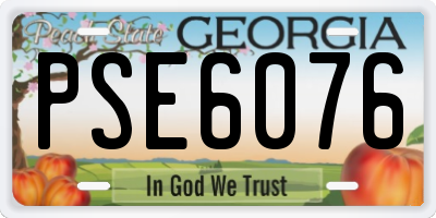 GA license plate PSE6076