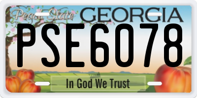 GA license plate PSE6078