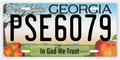 GA license plate PSE6079