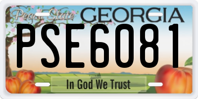 GA license plate PSE6081