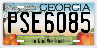 GA license plate PSE6085