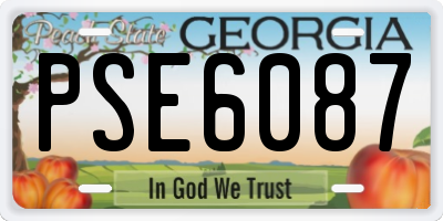 GA license plate PSE6087