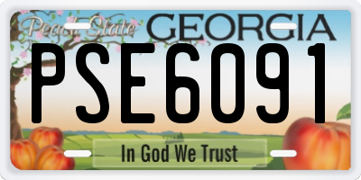 GA license plate PSE6091