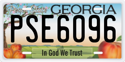 GA license plate PSE6096