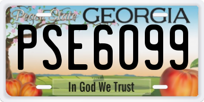 GA license plate PSE6099
