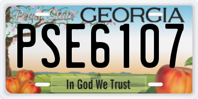 GA license plate PSE6107
