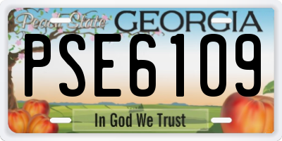 GA license plate PSE6109