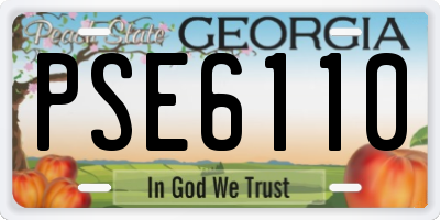 GA license plate PSE6110