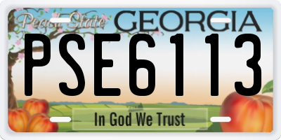 GA license plate PSE6113