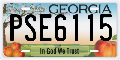 GA license plate PSE6115