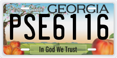 GA license plate PSE6116