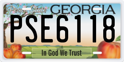 GA license plate PSE6118