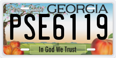 GA license plate PSE6119