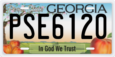 GA license plate PSE6120