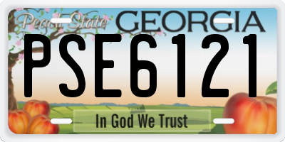 GA license plate PSE6121