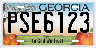 GA license plate PSE6123