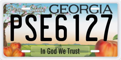 GA license plate PSE6127