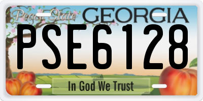 GA license plate PSE6128