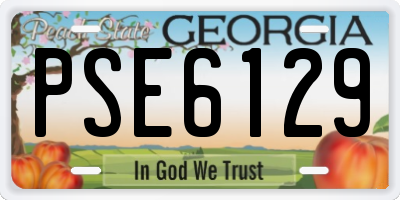 GA license plate PSE6129