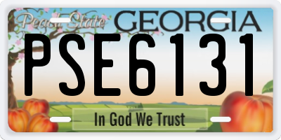 GA license plate PSE6131