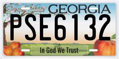 GA license plate PSE6132
