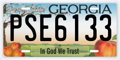 GA license plate PSE6133
