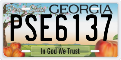 GA license plate PSE6137
