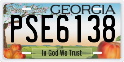 GA license plate PSE6138