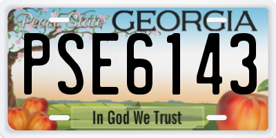 GA license plate PSE6143