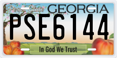 GA license plate PSE6144