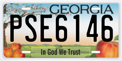 GA license plate PSE6146