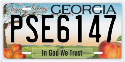 GA license plate PSE6147