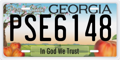 GA license plate PSE6148