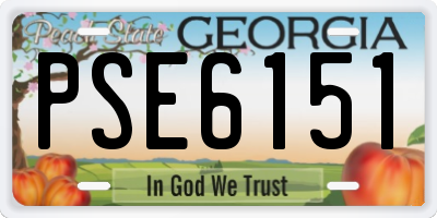 GA license plate PSE6151