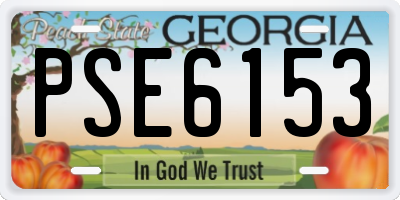 GA license plate PSE6153