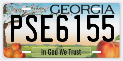 GA license plate PSE6155