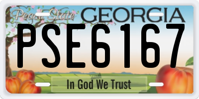 GA license plate PSE6167