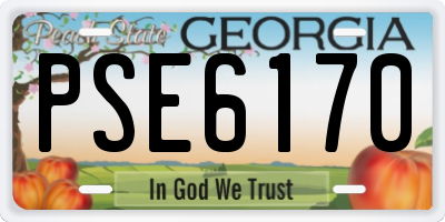 GA license plate PSE6170