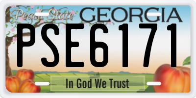 GA license plate PSE6171