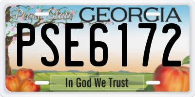 GA license plate PSE6172